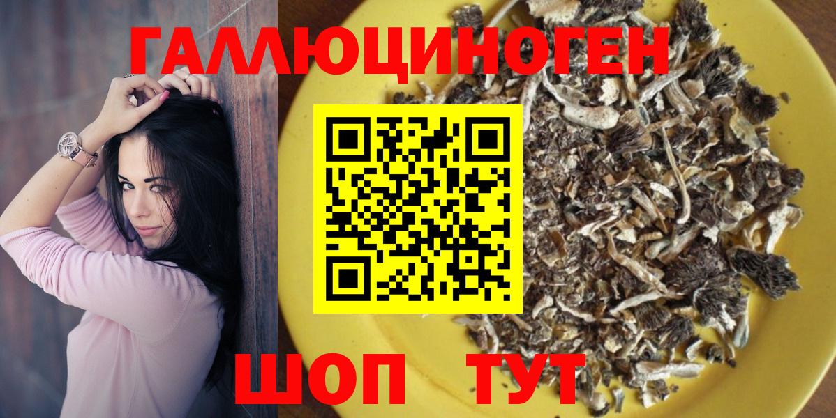 Галлюциногенные грибы Psilocybe  Вход с VPN  Тамбов  Галлюциногенные грибы Magic Shrooms 